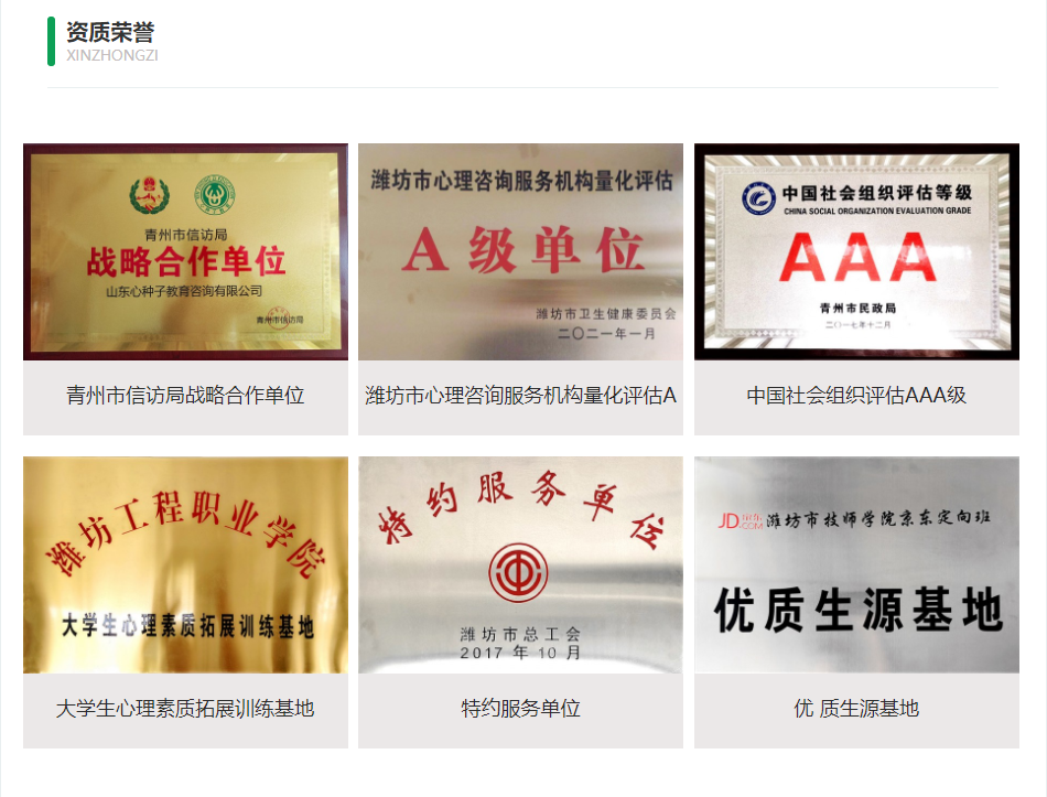 山东心种子 山东心种子