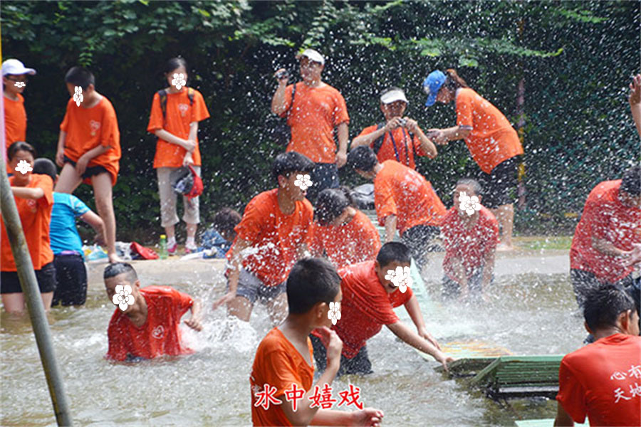 山东心种子