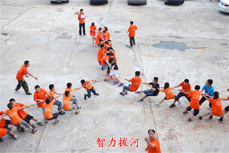 山东心种子