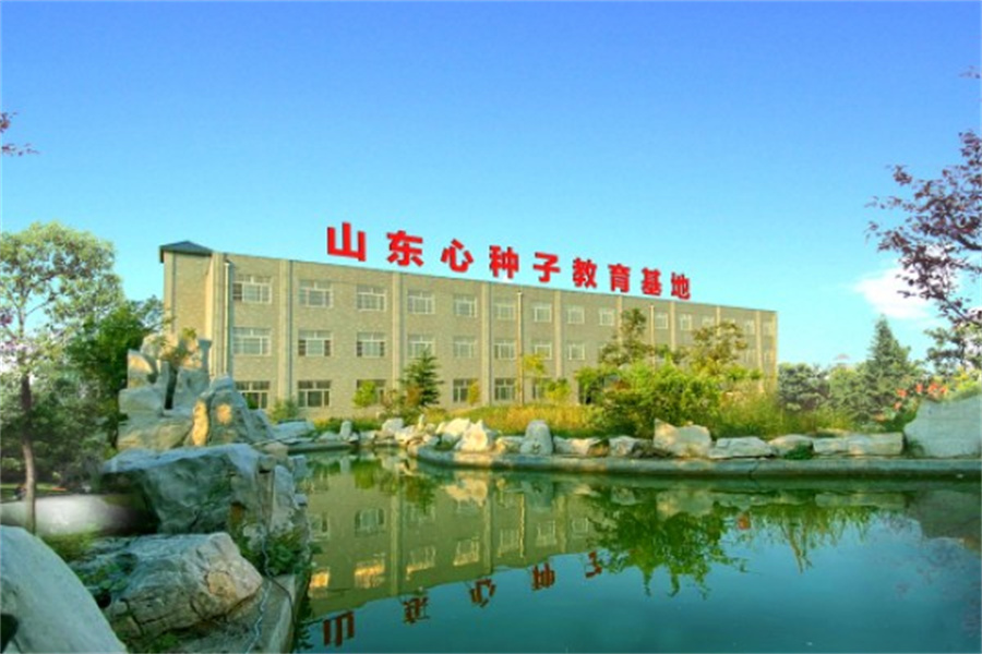 山东心种子