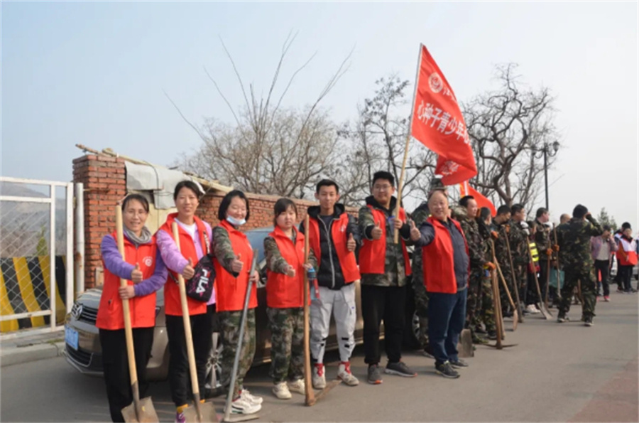 山东心种子