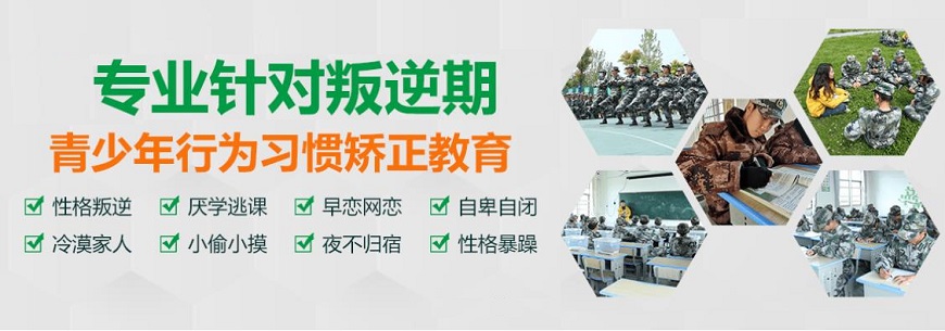山东心种子
