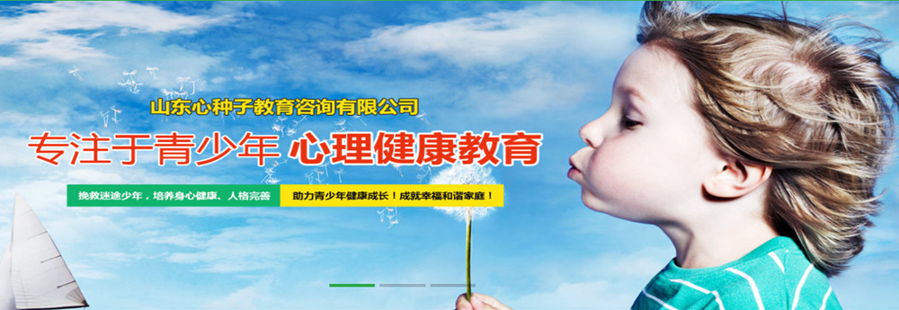 山东心种子