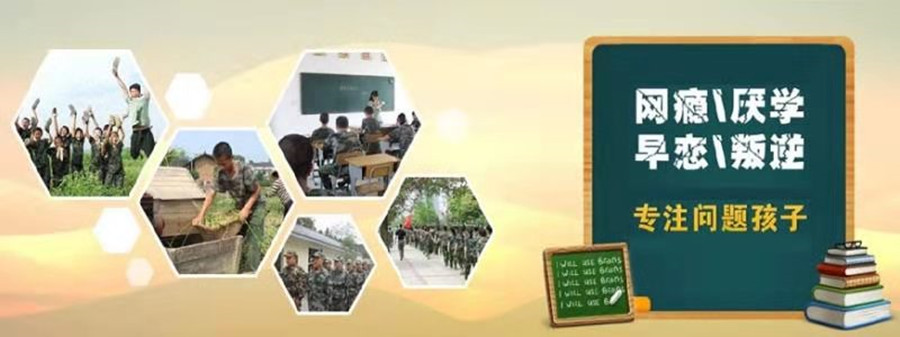 山东心种子