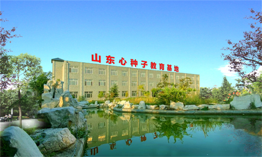 山东心种子