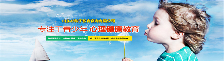 山东心种子叛逆孩子教育学校
