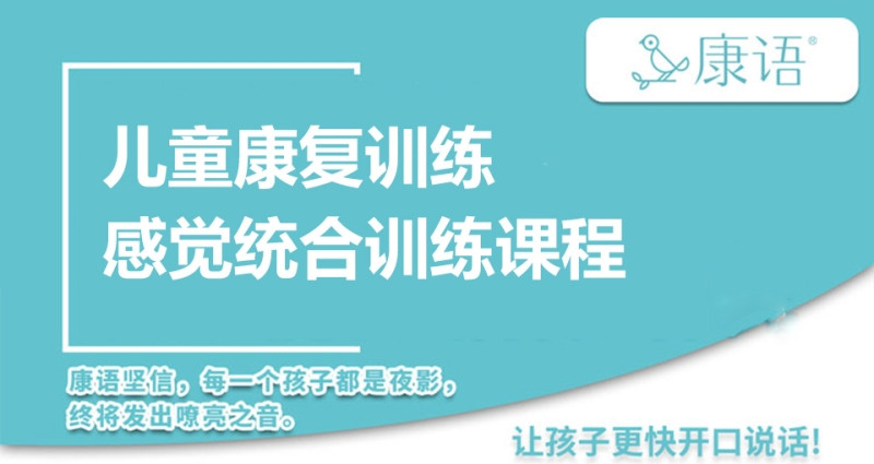 国内十大儿童感统训练1V1机构排名一览