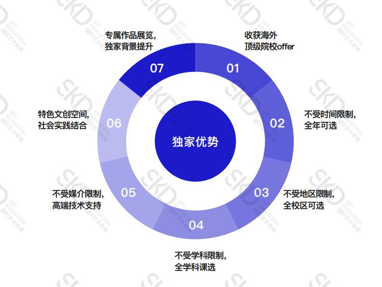 skd国际艺术教育