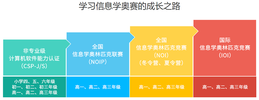 2023在线信息学奥赛培训机构名单一览表