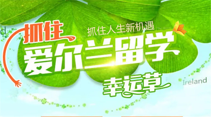辽宁爱尔兰留学中介排名推荐-辽宁爱尔兰留学服务中心