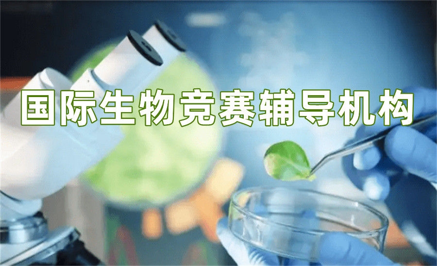 排名前三的国际生物竞赛辅导机构-家长推荐