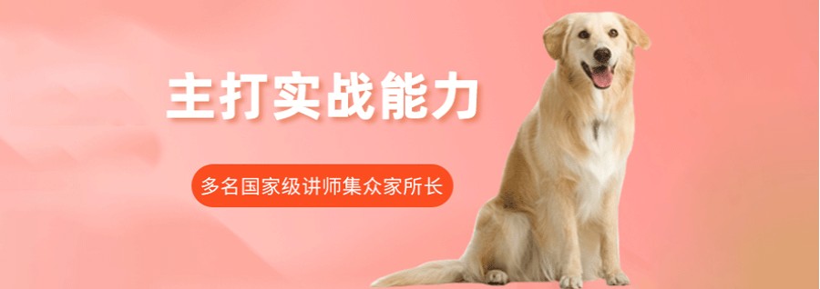 排名top5北京宠物美容师技能提升课程培训班推荐.jpg 排名top5北京宠物美容师技能提升课程培训班推荐.jpg