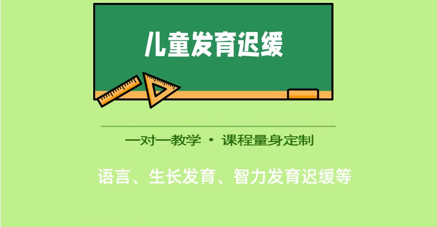 儿童发育迟缓康复机构