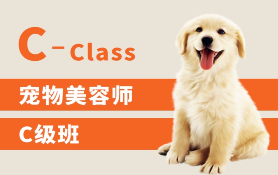 2023五大北京网红宠物美容造型设计技能培训学校排名.jpg