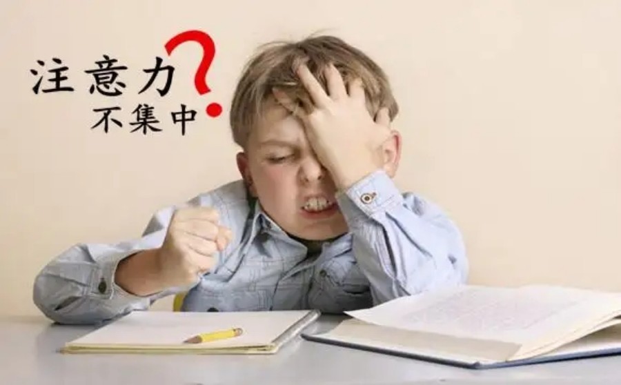家长推荐10大上海儿童注意力训练机构排名出炉.jpg