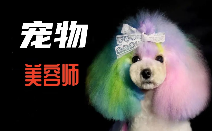 北京排名TOP5宠物美容师技能培训学校名单大全公布.jpg