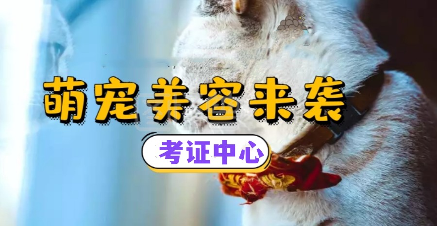 北京排名TOP5宠物美容师技能培训学校名单大全公布.jpg
