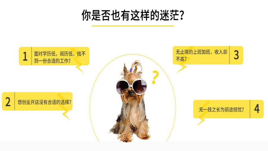 三大北京网红宠物美容师培训学校口碑排名汇总.jpg