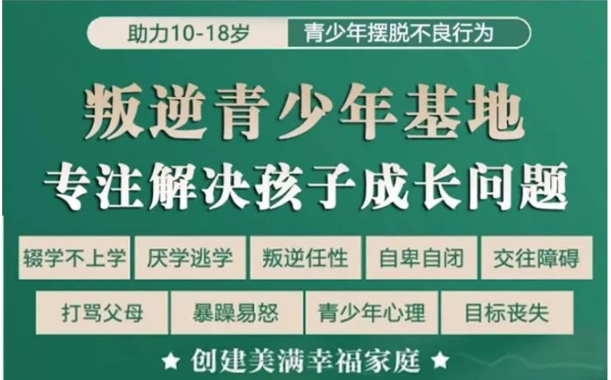 国内十大正规叛逆戒网瘾引导教育学校排名 国内十大正规叛逆戒网瘾引导教育学校排名