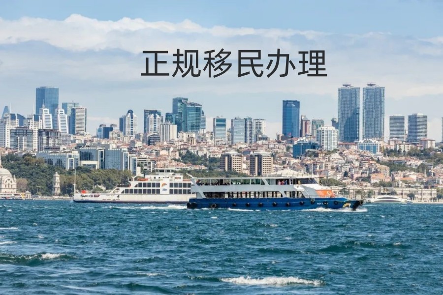 十大靠谱的申办移民中介机构排名盘点.jpg