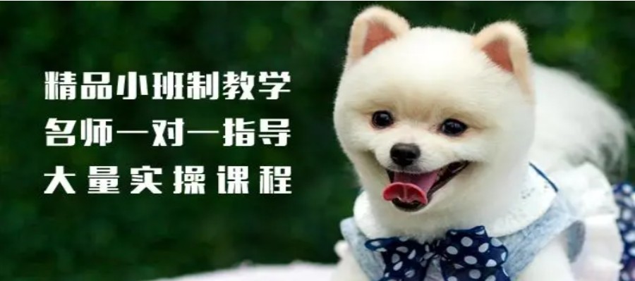 北京靠谱的宠物美容护理师考证教育机构实力排名名单参考.jpg