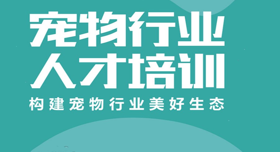 排名前三的北京宠物美容师实操考证培训中心名单揭秘.jpg