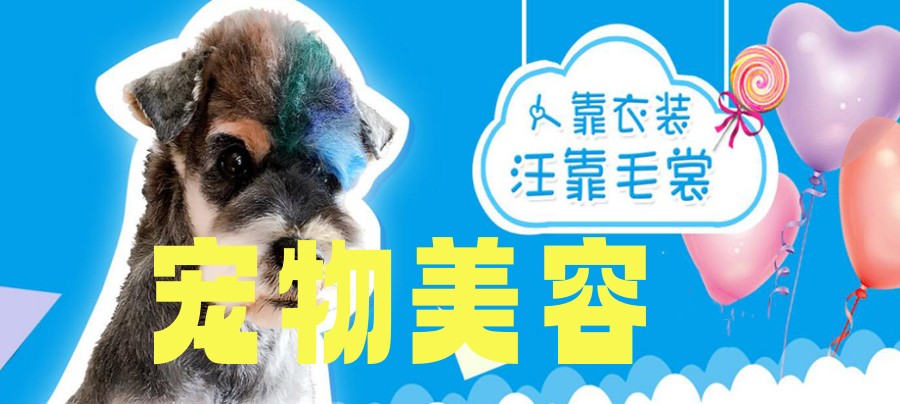 天津宠物美容师培训班3大排行榜更新一览.jpg
