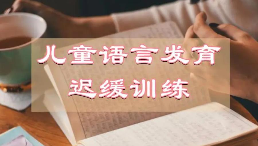 长沙儿童语言发育迟缓训练机构排名top5名单出炉