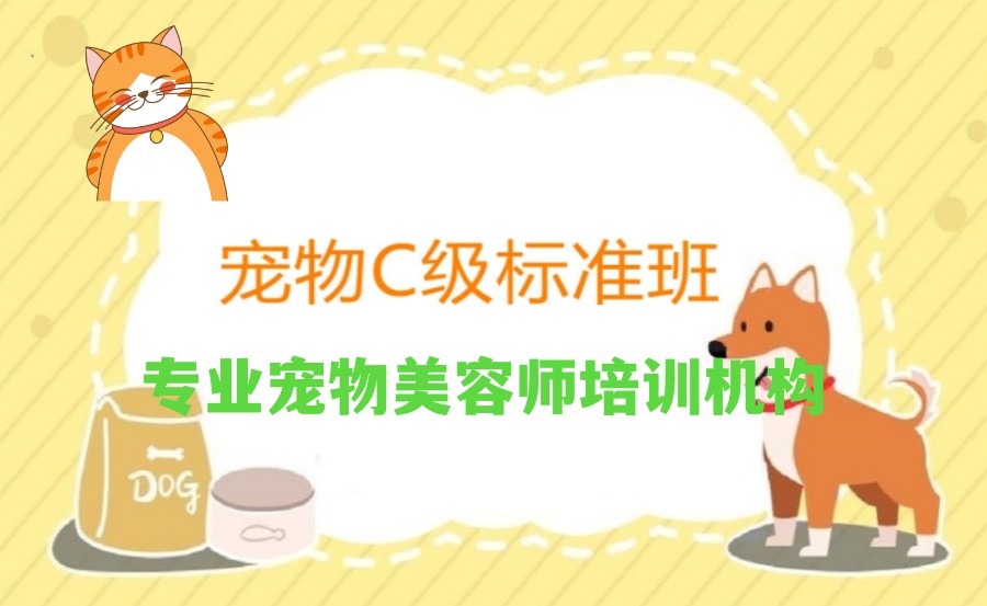 揭晓北京宠物美容护理技术考证培训学校排名T0P榜.jpg