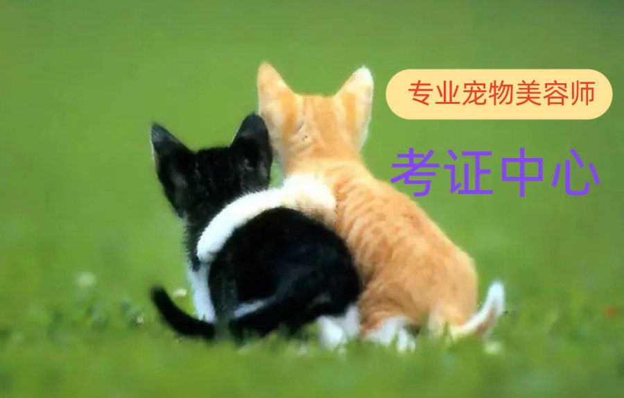 北京五大宠物美容师护理技能培训学校排名汇总一览.jpg