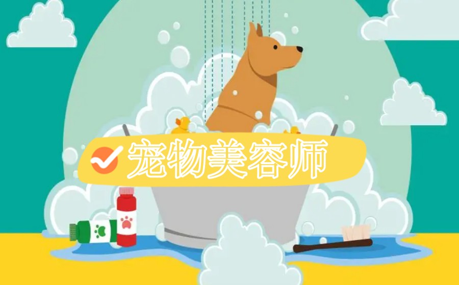 北京宠物美容技术实操教学正规培训学校排名TOP10名单大全.jpg