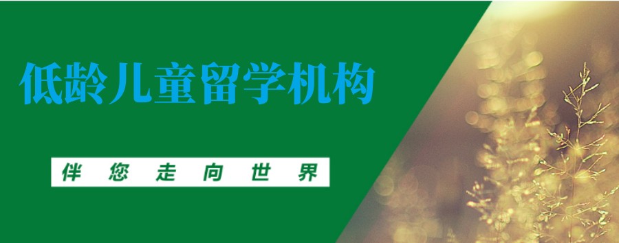 深圳英国初高中生留学中介机构