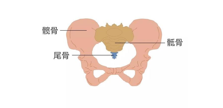 石家庄口碑好的徒手骨盆修复培训机构名单一览