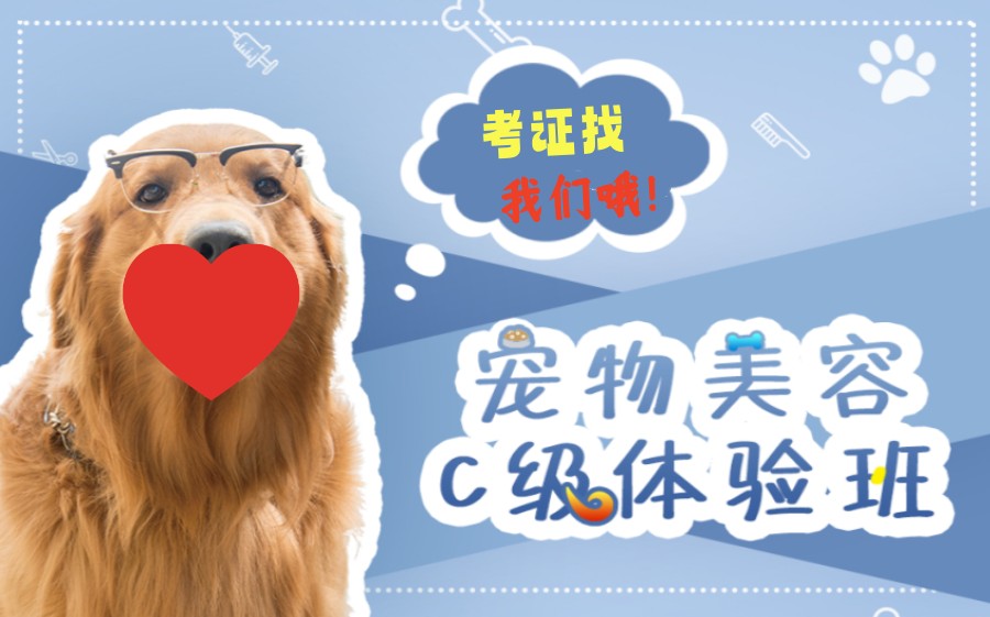 北京宠物美容师考级培训中心排名前三名单指南.jpg