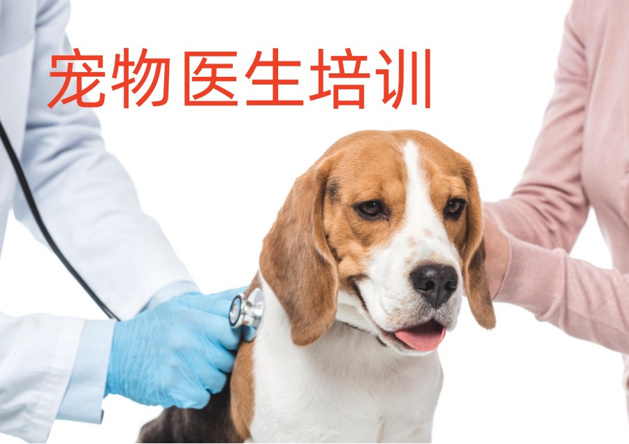 北京实力不错的宠物医生培训学校3大排名汇总.jpg