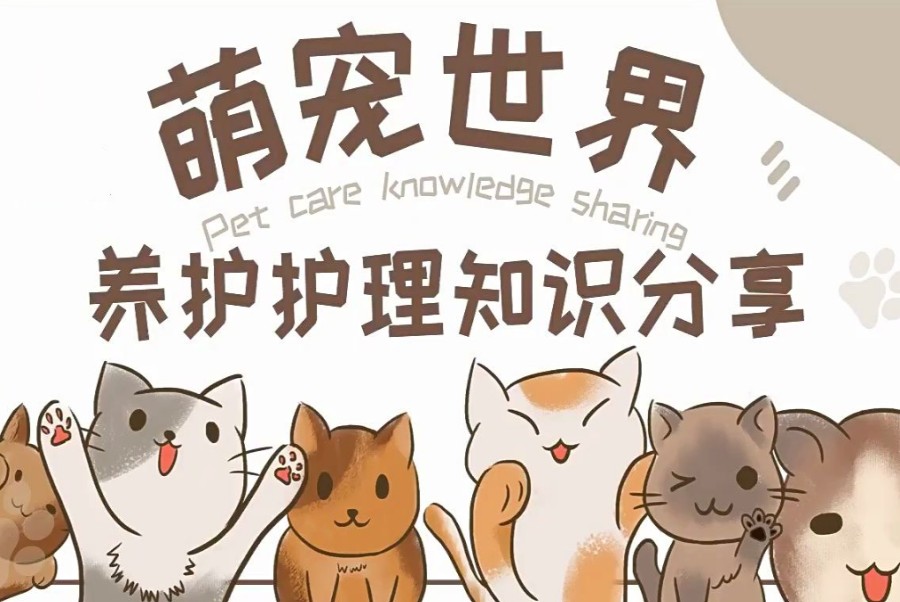 北京实力不错的宠物医生培训学校3大排名汇总.jpg