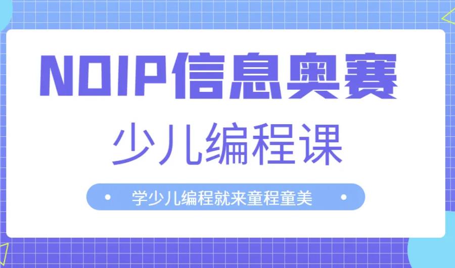 国内NOIP编程竞赛培训