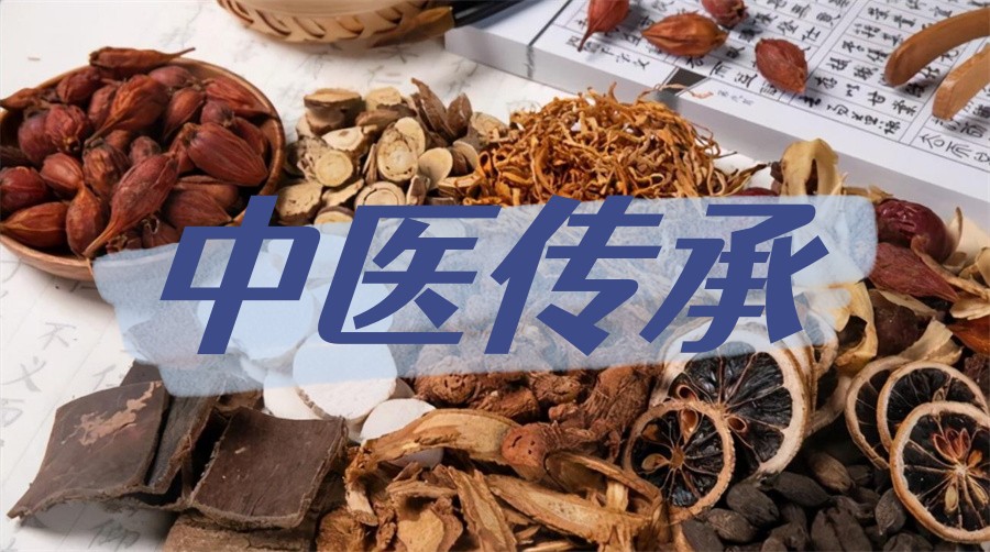 西安中医培训学校-中医师承-中医推拿执业药师-西安中医针灸正骨培训机构 西安中医培训学校-中医师承-中医推拿执业药师-西安中医针灸正骨培训机构