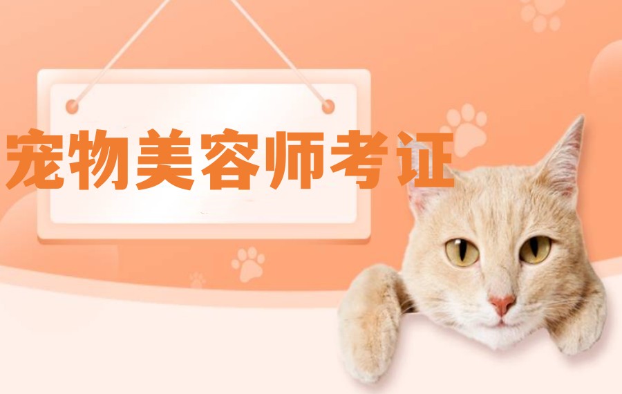 排名前6的天津宠物美容师辅导学习中心名单公布jpg