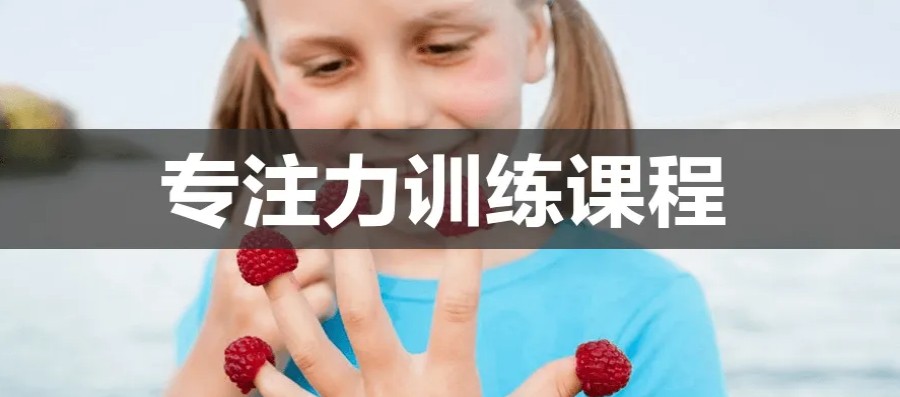 儿童注意力培训机构前五名单更新