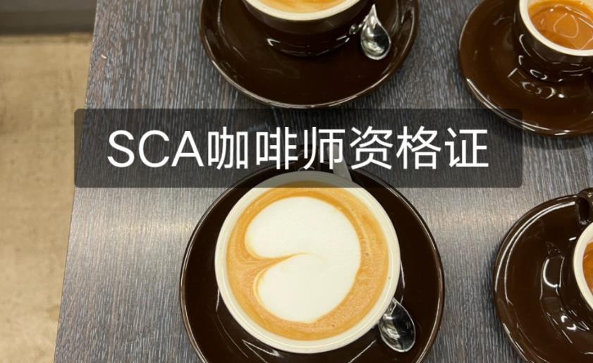 深圳sca咖啡师认证机构排名名单一览