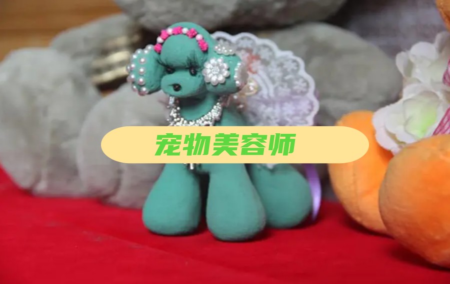天津受欢迎的宠物美容师培训班排名前5名单解读.jpg