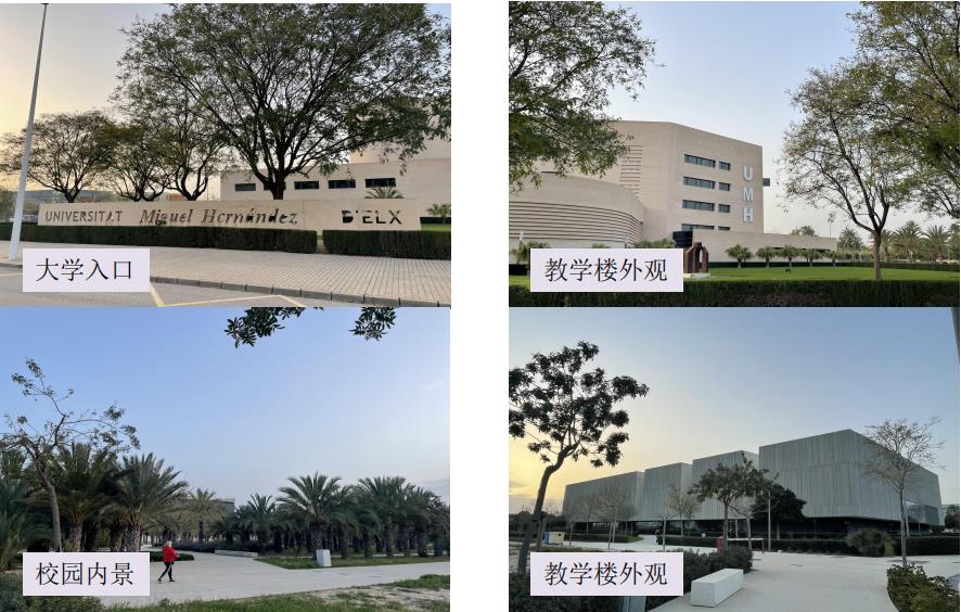 西班牙埃尔切大学一年制硕士(专升硕)招生简章