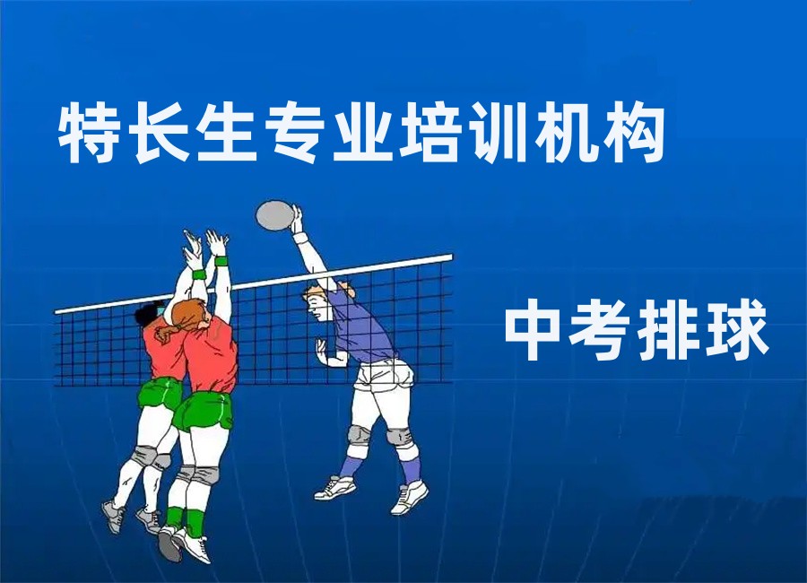 石家庄排名好的中考排球体育特长生培训学校一览表