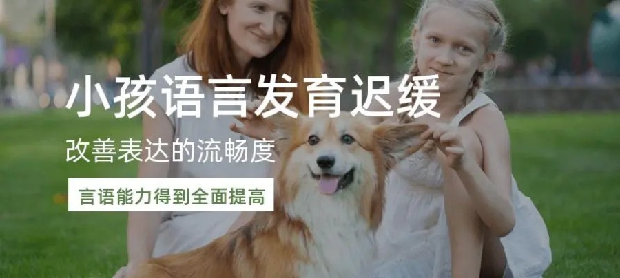 西安儿童语言障碍迟缓康复训练机构十大排名推荐.jpg