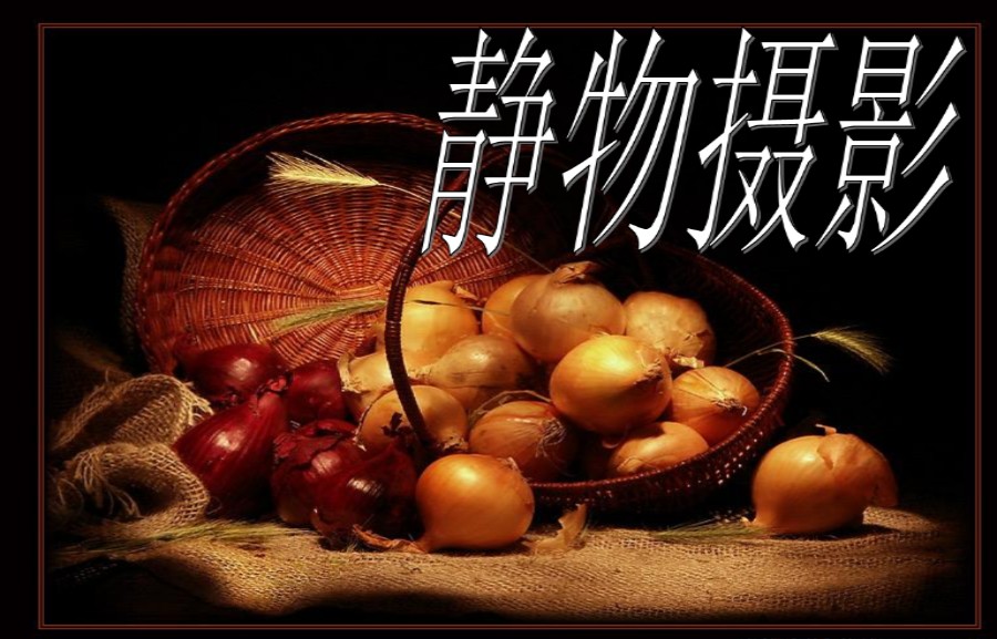 新十大正规摄影培训机构排行表更新.jpg 新十大正规摄影培训机构排行表更新.jpg