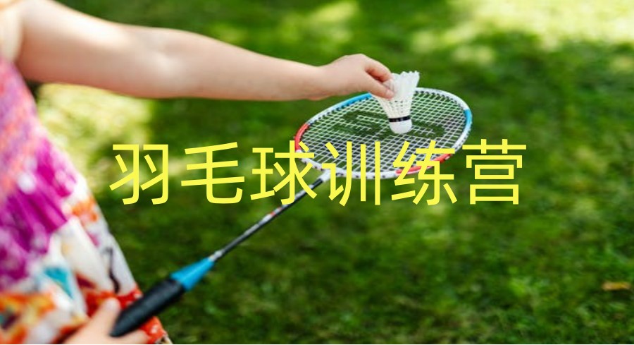 天津排列前3名的青少年羽毛球培训班口碑榜单甄选.jpg
