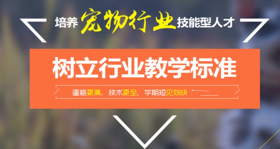 国内十大宠物美容师培训机构排行榜参考.jpg