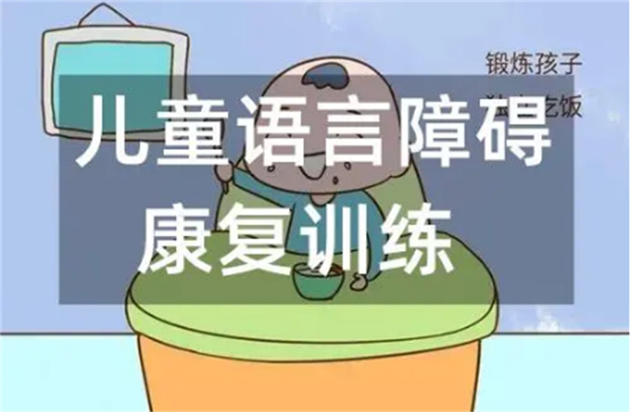 推荐十家受欢迎的语言障碍康复训练培训机构排行表