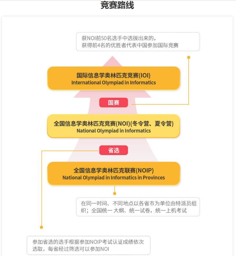 5大信息学网课培训机构排名TOP榜梳理